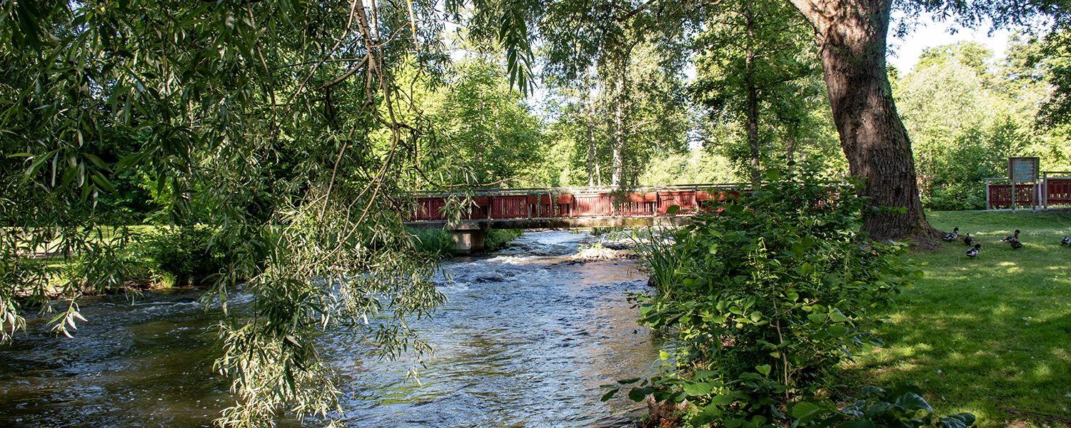 Husby Park