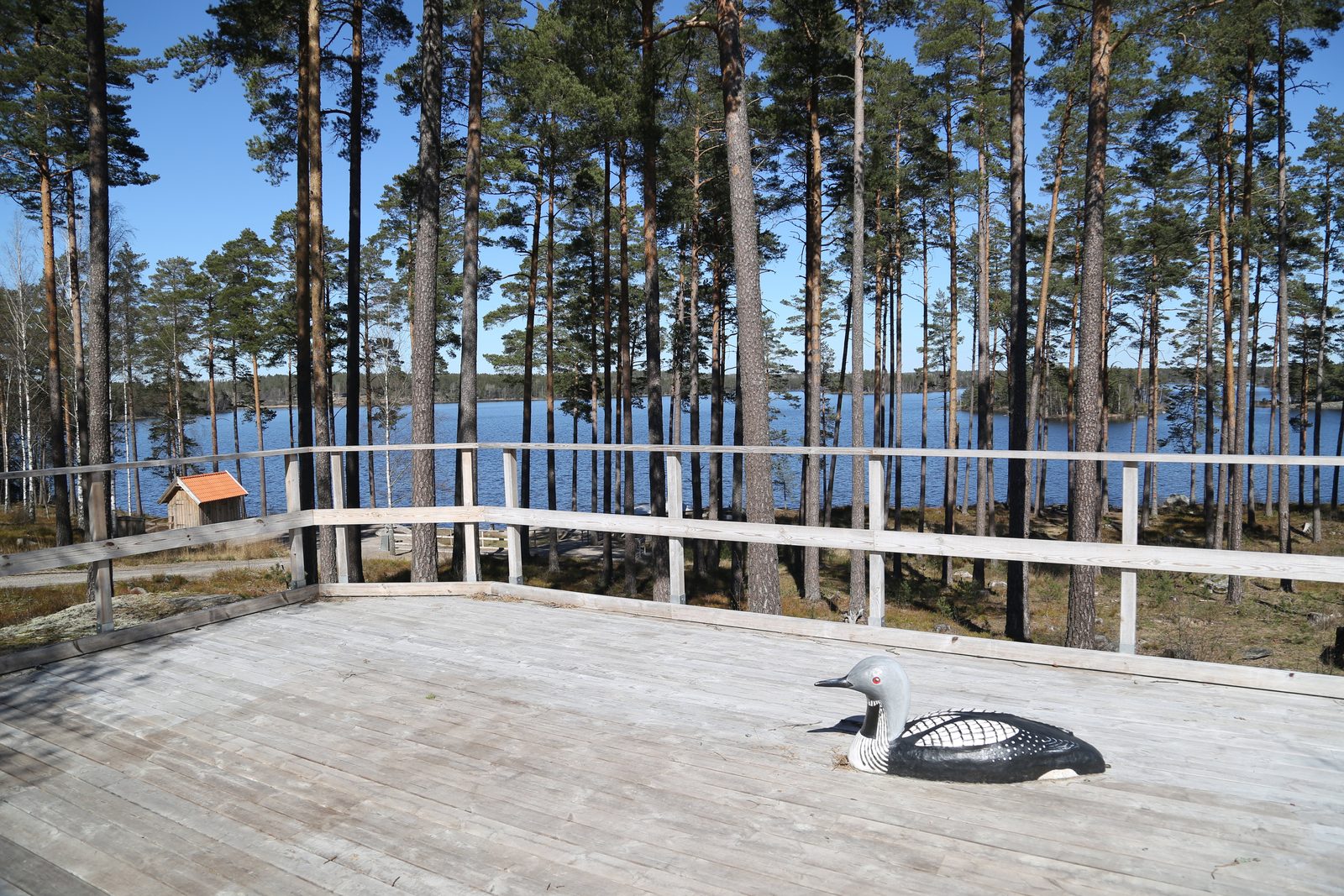 Prins Alexanders utsiktsplats