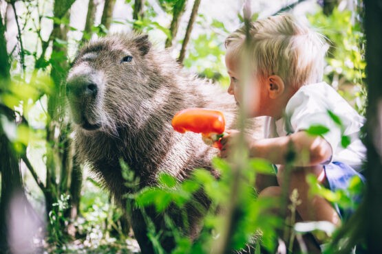 Parken Zoo
